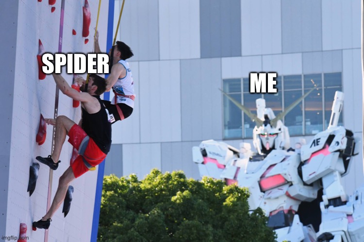 spider on the wall | ME; SPIDER | image tagged in looming gundam | made w/ Imgflip meme maker