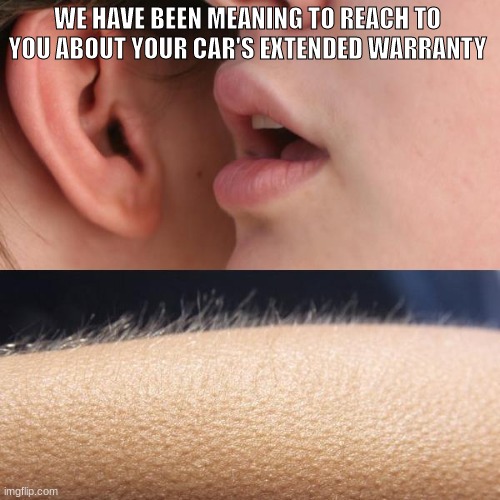 You can't escape your cars extended warranty | WE HAVE BEEN MEANING TO REACH TO YOU ABOUT YOUR CAR'S EXTENDED WARRANTY | image tagged in whisper and goosebumps | made w/ Imgflip meme maker