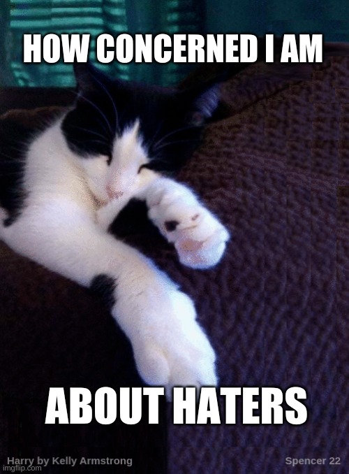 HOW CONCERNED I AM; ABOUT HATERS | image tagged in cats,haters,casual,one does not simply,sleeping,sleeping beauty | made w/ Imgflip meme maker