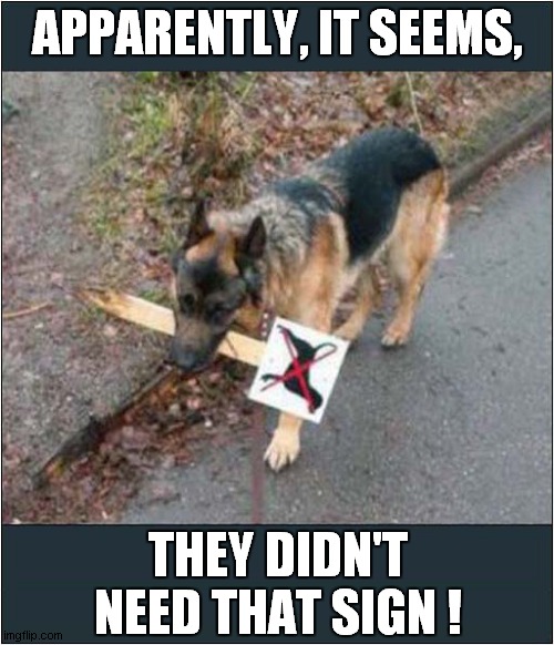 Dog Disagrees With Sign ! | APPARENTLY, IT SEEMS, THEY DIDN'T NEED THAT SIGN ! | image tagged in dogs,sign | made w/ Imgflip meme maker
