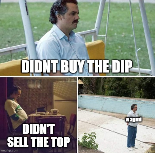 wagmi in my dreams | DIDNT BUY THE DIP; wagmi; DIDN'T SELL THE TOP | image tagged in memes,sad pablo escobar,cryptocurrency,crypto | made w/ Imgflip meme maker