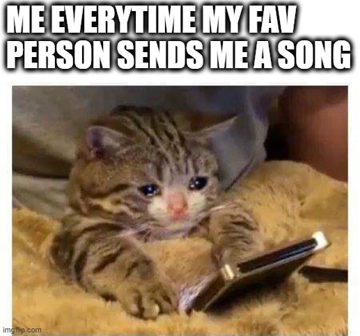 Me everytime my fav person sends me a song |  ME EVERYTIME MY FAV PERSON SENDS ME A SONG | image tagged in missing you,favorite,cat,cute cat | made w/ Imgflip meme maker