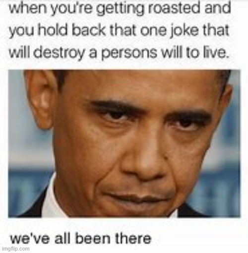 image tagged in roast,insult,obama,mad,wisdom,relatable memes | made w/ Imgflip meme maker