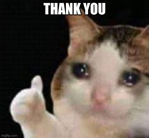 Approved crying cat | THANK YOU | image tagged in approved crying cat | made w/ Imgflip meme maker