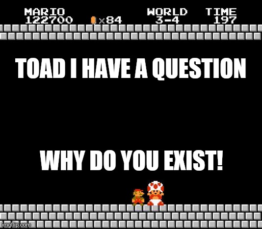 Thank You Mario | TOAD I HAVE A QUESTION; WHY DO YOU EXIST! | image tagged in thank you mario | made w/ Imgflip meme maker