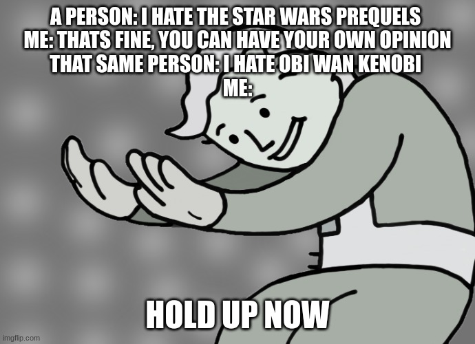 i simp for obi wan lol dont judge me | A PERSON: I HATE THE STAR WARS PREQUELS 
ME: THATS FINE, YOU CAN HAVE YOUR OWN OPINION
THAT SAME PERSON: I HATE OBI WAN KENOBI 
ME:; HOLD UP NOW | image tagged in hol up | made w/ Imgflip meme maker