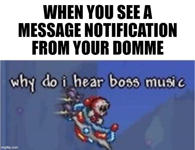 why do i hear boss music | WHEN YOU SEE A
MESSAGE NOTIFICATION
FROM YOUR DOMME | image tagged in why do i hear boss music | made w/ Imgflip meme maker