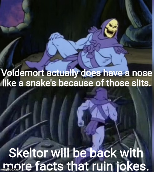 Skeltor facts | Voldemort actually does have a nose like a snake's because of those slits. Skeltor will be back with more facts that ruin jokes. | image tagged in skeltor facts | made w/ Imgflip meme maker