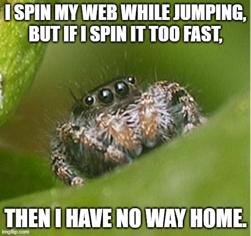 Spinning the web must be just right |  I SPIN MY WEB WHILE JUMPING, BUT IF I SPIN IT TOO FAST, THEN I HAVE NO WAY HOME. | image tagged in misunderstood spider | made w/ Imgflip meme maker