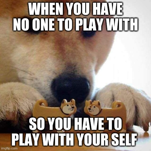 dog now kiss  | WHEN YOU HAVE NO ONE TO PLAY WITH; SO YOU HAVE TO PLAY WITH YOUR SELF | image tagged in dog now kiss | made w/ Imgflip meme maker