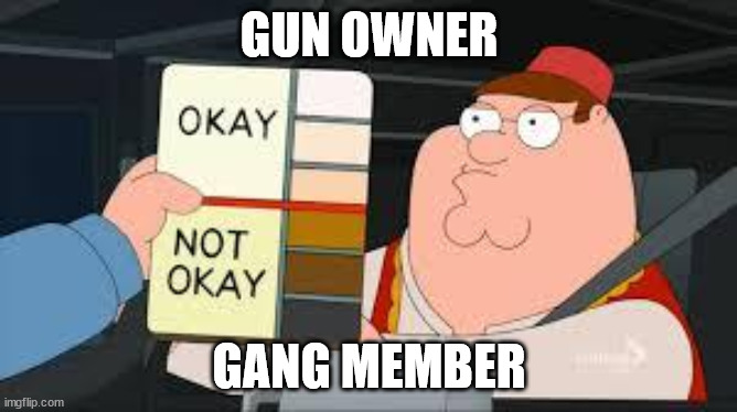racist peter griffin family guy | GUN OWNER; GANG MEMBER | image tagged in racist peter griffin family guy | made w/ Imgflip meme maker
