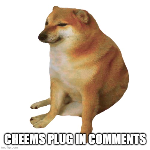 cheems plug | CHEEMS PLUG IN COMMENTS | image tagged in cheems,cheem plug | made w/ Imgflip meme maker