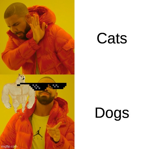 Drake Hotline Bling | Cats; Dogs | image tagged in memes,drake hotline bling | made w/ Imgflip meme maker