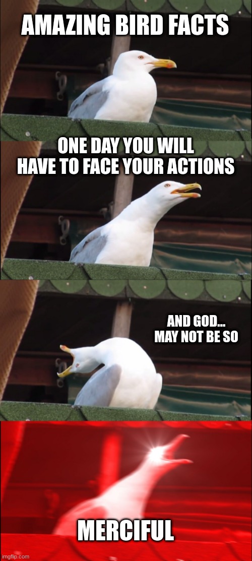 Amazing Bird Facks | AMAZING BIRD FACTS; ONE DAY YOU WILL HAVE TO FACE YOUR ACTIONS; AND GOD... MAY NOT BE SO; MERCIFUL | image tagged in memes,inhaling seagull | made w/ Imgflip meme maker