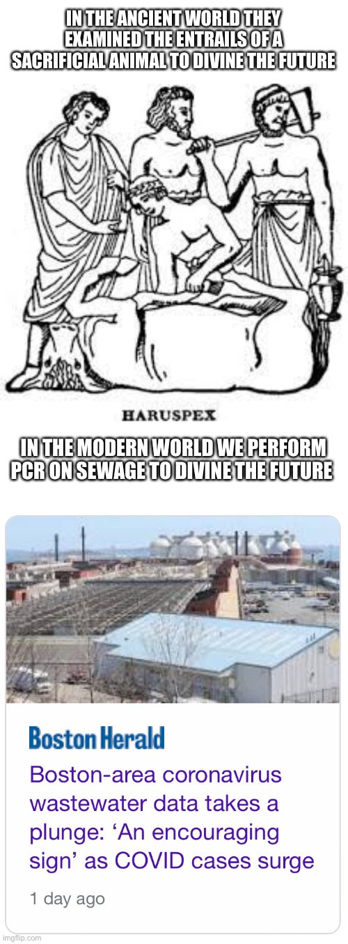 Modern day haruspicy? Or maybe more precisely copromancy. | IN THE ANCIENT WORLD THEY EXAMINED THE ENTRAILS OF A SACRIFICIAL ANIMAL TO DIVINE THE FUTURE; IN THE MODERN WORLD WE PERFORM PCR ON SEWAGE TO DIVINE THE FUTURE | image tagged in memes | made w/ Imgflip meme maker