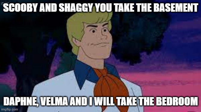 Fred be like | SCOOBY AND SHAGGY YOU TAKE THE BASEMENT; DAPHNE, VELMA AND I WILL TAKE THE BEDROOM | image tagged in scooby doo,funny memes,dirty | made w/ Imgflip meme maker