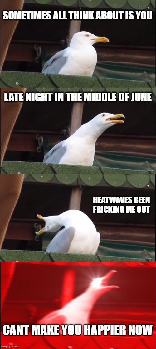 how i understand this song | SOMETIMES ALL THINK ABOUT IS YOU; LATE NIGHT IN THE MIDDLE OF JUNE; HEATWAVES BEEN FRICKING ME OUT; CANT MAKE YOU HAPPIER NOW | image tagged in memes,inhaling seagull,music,heatwaves | made w/ Imgflip meme maker