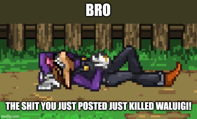 F | BRO; THE SHIT YOU JUST POSTED JUST KILLED WALUIGI! | image tagged in ssf2 dead waluigi | made w/ Imgflip meme maker