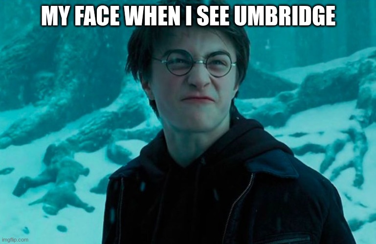 Harry Potter | MY FACE WHEN I SEE UMBRIDGE | image tagged in harry potter | made w/ Imgflip meme maker