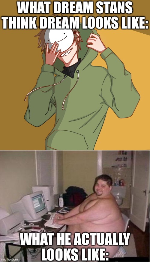 WHAT DREAM STANS THINK DREAM LOOKS LIKE: WHAT HE ACTUALLY LOOKS LIKE: | image tagged in really fat guy on computer | made w/ Imgflip meme maker
