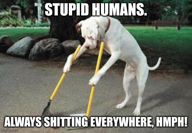 Hehe | STUPID HUMANS. ALWAYS SHITTING EVERYWHERE, HMPH! | image tagged in dog poop | made w/ Imgflip meme maker