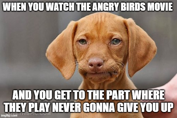 Umm dog | WHEN YOU WATCH THE ANGRY BIRDS MOVIE; AND YOU GET TO THE PART WHERE THEY PLAY NEVER GONNA GIVE YOU UP | image tagged in umm dog | made w/ Imgflip meme maker