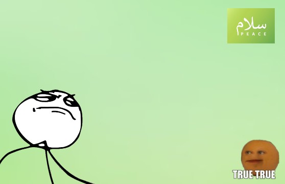 felly rules Blank Meme Template