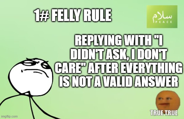1# FELLY RULE | 1# FELLY RULE; REPLYING WITH "I DIDN'T ASK, I DON'T CARE" AFTER EVERYTHING IS NOT A VALID ANSWER | image tagged in felly rules | made w/ Imgflip meme maker