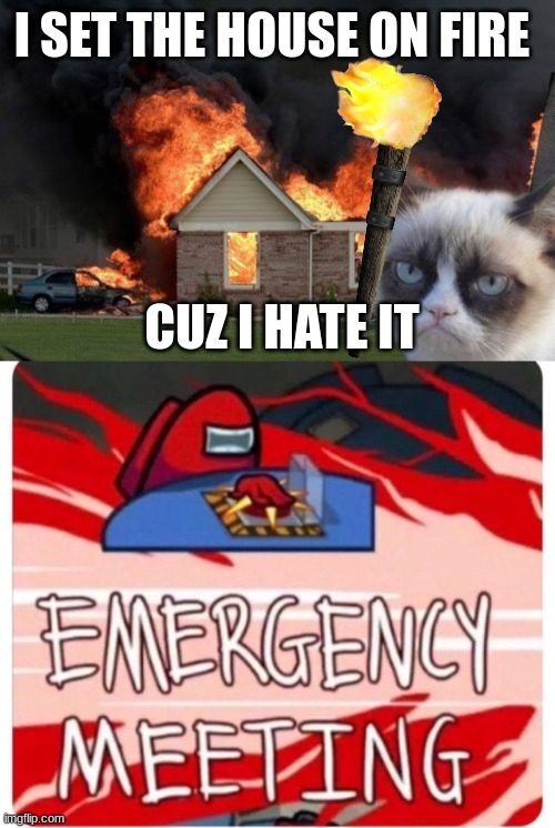 I SET THE HOUSE ON FIRE; CUZ I HATE IT | image tagged in memes,burn kitty,emergency meeting among us | made w/ Imgflip meme maker