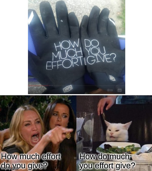 Image title | How much effort do you give? How do much you effort give? | image tagged in memes,woman yelling at cat | made w/ Imgflip meme maker