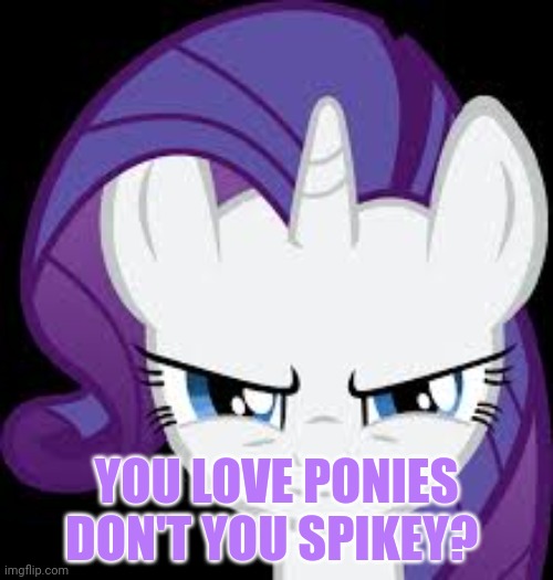 Rarity's evil plans | YOU LOVE PONIES DON'T YOU SPIKEY? | image tagged in rarity's evil plans | made w/ Imgflip meme maker