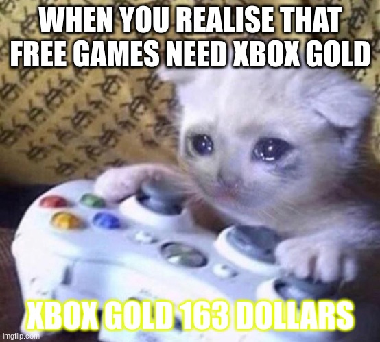 Sad Gamer Cat | WHEN YOU REALISE THAT FREE GAMES NEED XBOX GOLD; XBOX GOLD 163 DOLLARS | image tagged in sad gamer cat | made w/ Imgflip meme maker
