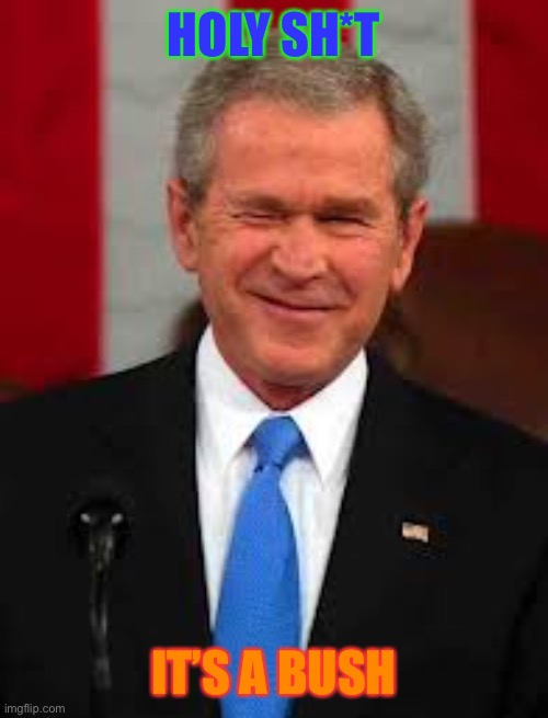 George Bush | HOLY SH*T; IT’S A BUSH | image tagged in memes,george bush | made w/ Imgflip meme maker