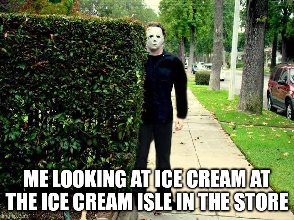 Michael Myers |  ME LOOKING AT ICE CREAM AT THE ICE CREAM ISLE IN THE STORE | image tagged in michael myers | made w/ Imgflip meme maker
