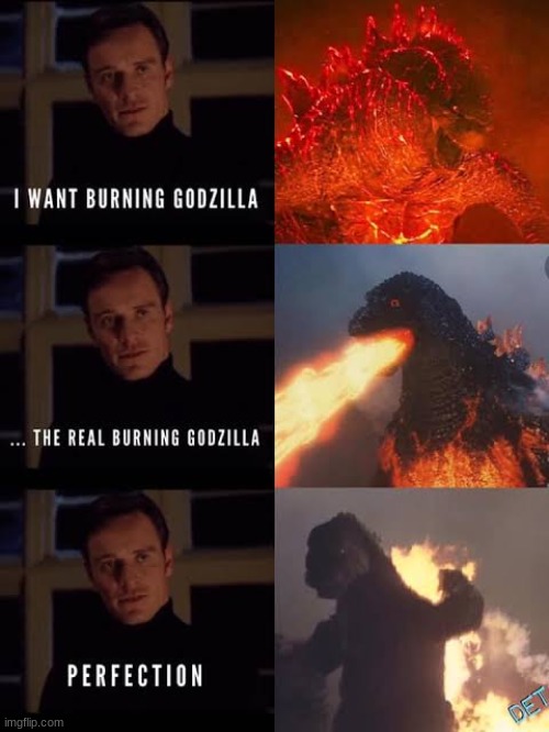 Burning Godzilla | image tagged in burning godzilla | made w/ Imgflip meme maker