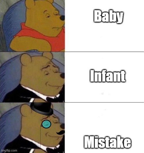 Professional Pooh | Baby; Infant; Mistake | image tagged in professional pooh | made w/ Imgflip meme maker
