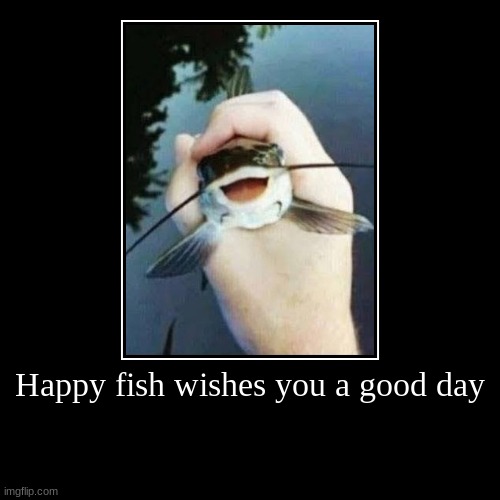 Happy fish wishes you a good day | | image tagged in funny,demotivationals | made w/ Imgflip demotivational maker