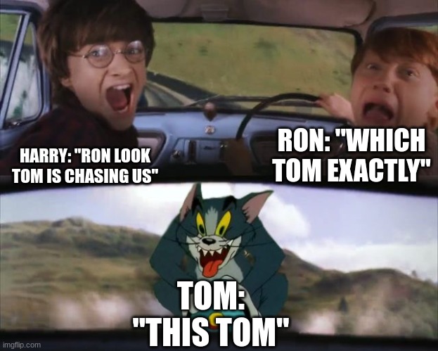Tom Riddles or Tom the cat? | RON: ''WHICH TOM EXACTLY''; HARRY: ''RON LOOK TOM IS CHASING US''; TOM: ''THIS TOM'' | image tagged in tom chasing harry and ron weasly | made w/ Imgflip meme maker