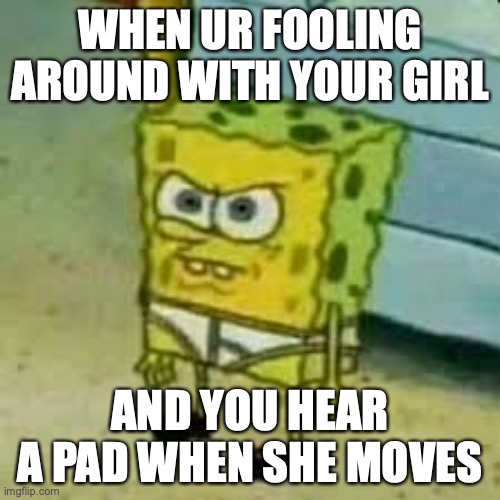 WHEN UR FOOLING AROUND WITH YOUR GIRL; AND YOU HEAR A PAD WHEN SHE MOVES | image tagged in funny | made w/ Imgflip meme maker