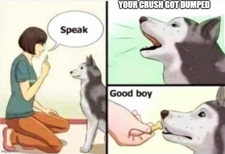 Wonder who made that happen >:) |  YOUR CRUSH GOT DUMPED | image tagged in good boy | made w/ Imgflip meme maker