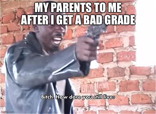 Just happened but barely alive | MY PARENTS TO ME AFTER I GET A BAD GRADE | image tagged in bitch how dare you still live | made w/ Imgflip meme maker