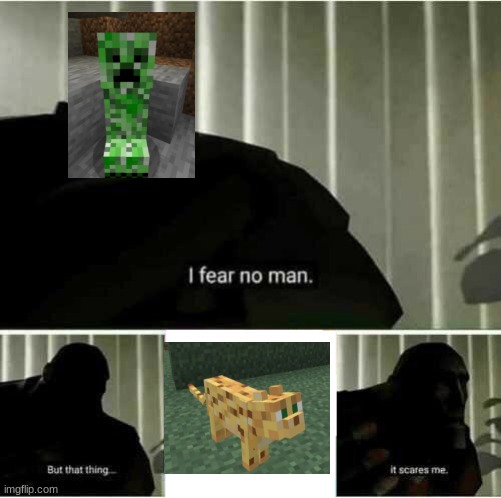 minecraft meme #2 | image tagged in i fear no man | made w/ Imgflip meme maker