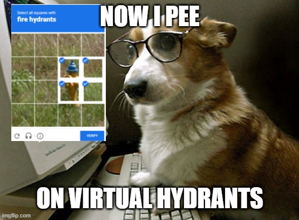 Dog A.I be like | NOW I PEE; ON VIRTUAL HYDRANTS | image tagged in corgi hacker | made w/ Imgflip meme maker