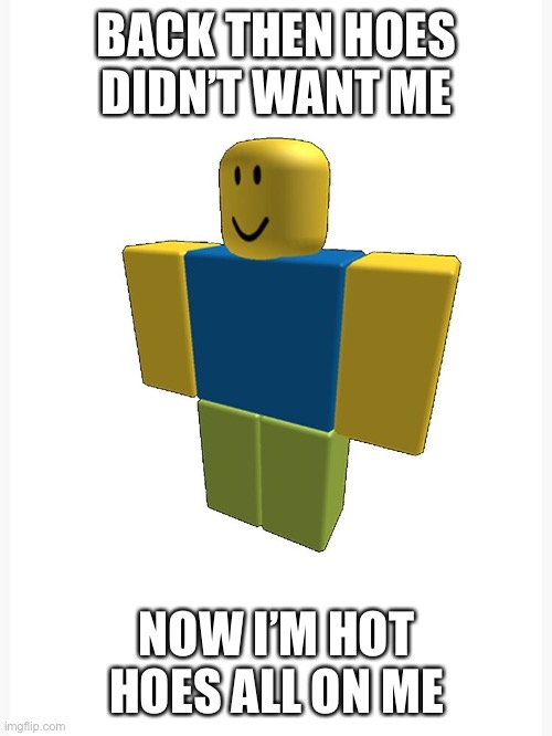 Back then | BACK THEN HOES DIDN’T WANT ME; NOW I’M HOT HOES ALL ON ME | image tagged in hoes,roblox,memes | made w/ Imgflip meme maker