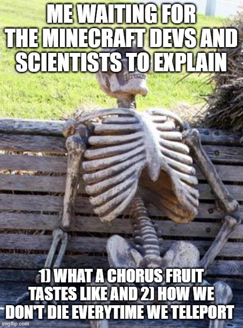 Waiting Skeleton Meme | ME WAITING FOR THE MINECRAFT DEVS AND SCIENTISTS TO EXPLAIN; 1) WHAT A CHORUS FRUIT TASTES LIKE AND 2) HOW WE DON'T DIE EVERYTIME WE TELEPORT | image tagged in memes,waiting skeleton | made w/ Imgflip meme maker