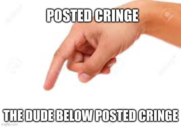 the person below | POSTED CRINGE; THE DUDE BELOW POSTED CRINGE | image tagged in the person below | made w/ Imgflip meme maker