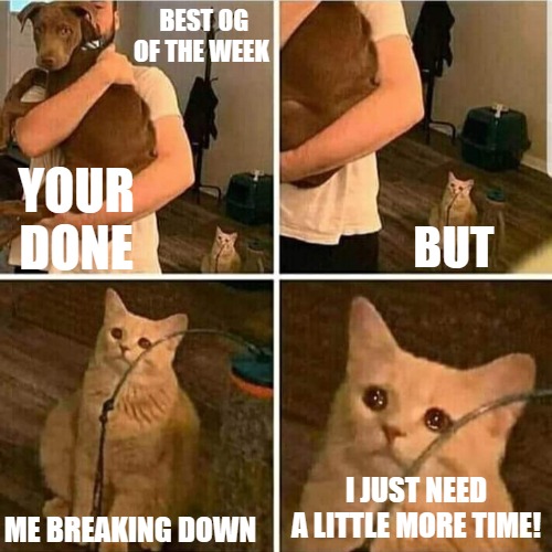the cat life!! | BEST OG OF THE WEEK; YOUR DONE; BUT; ME BREAKING DOWN; I JUST NEED A LITTLE MORE TIME! | image tagged in sad cat holding dog,sad cat | made w/ Imgflip meme maker