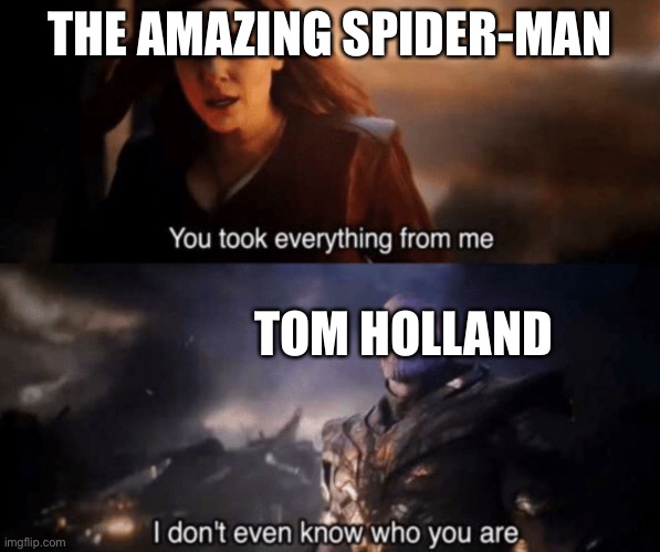 You took everything from me - I don't even know who you are | THE AMAZING SPIDER-MAN; TOM HOLLAND | image tagged in you took everything from me - i don't even know who you are | made w/ Imgflip meme maker