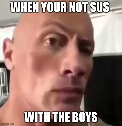 when your not being sus with the boys | WHEN YOUR NOT SUS; WITH THE BOYS | image tagged in the rock eyebrows | made w/ Imgflip meme maker