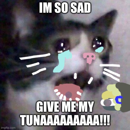 Screaming Cat meme | IM SO SAD; GIVE ME MY TUNAAAAAAAAA!!! | image tagged in screaming cat meme | made w/ Imgflip meme maker